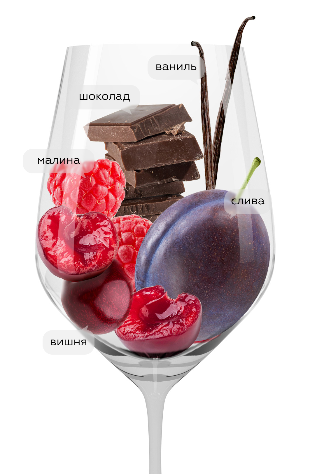 Вино Recioto della Valpolicella Valpantena, Bertani, 2024, 0.5л, (159395), Италия, Венето, красное, сладкое, 0.5 л, Речото делла Вальполичелла Вальпантена, цена 8490 рублей