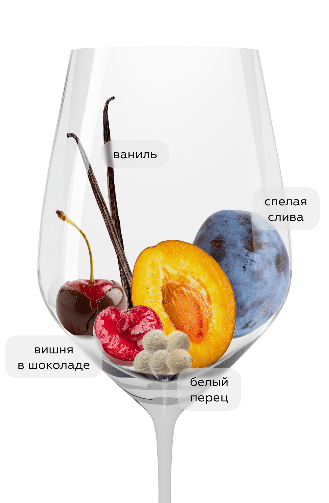 Вино Сира, Николаев и Сыновья, 2023, (160158), Россия, Кубань, красное, сухое, 0.75 л, Сира, цена 3690 рублей