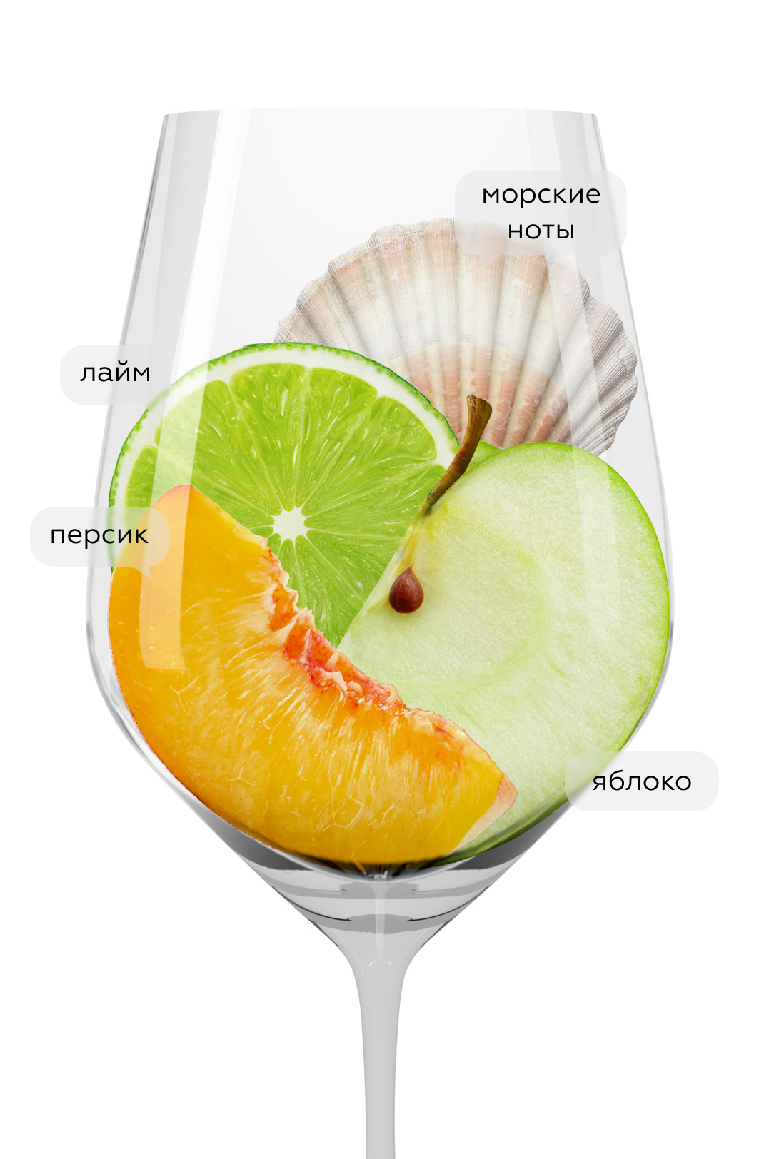 Вино Pontellon Albarino, Bodegas Horacio Gomez Araujo, 2023, (150184), Испания, Галисия, белое, сухое, 0.75 л, Понтейон Альбариньо, цена 3790 рублей