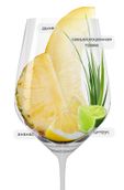 Вино с ананасовым вкусом Marques de Riscal Sauvignon Organic