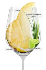 Вино Marques de Riscal Sauvignon Organic, (134282), белое сухое, 2021 г., 0.75 л, Маркес де Рискаль Совиньон Органик цена 2990 рублей