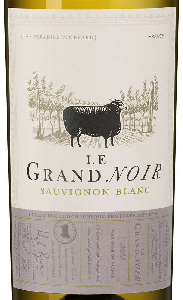 Вино Le Grand Noir Sauvignon Blanc, 2023, (147335), Франция, Лангедок-Руссильон, белое, сухое, 0.75 л, Ле Гран Нуар Совиньон Блан, цена 1990 рублей
