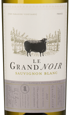 Вино Le Grand Noir Sauvignon Blanc, (147335), белое сухое, 2023, 0.75 л, Ле Гран Нуар Совиньон Блан цена 1840 рублей