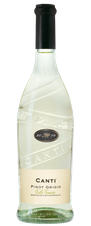Вино Pinot Grigio, (122359), белое полусухое, 2019 г., 0.75 л, Пино Гриджо цена 1390 рублей