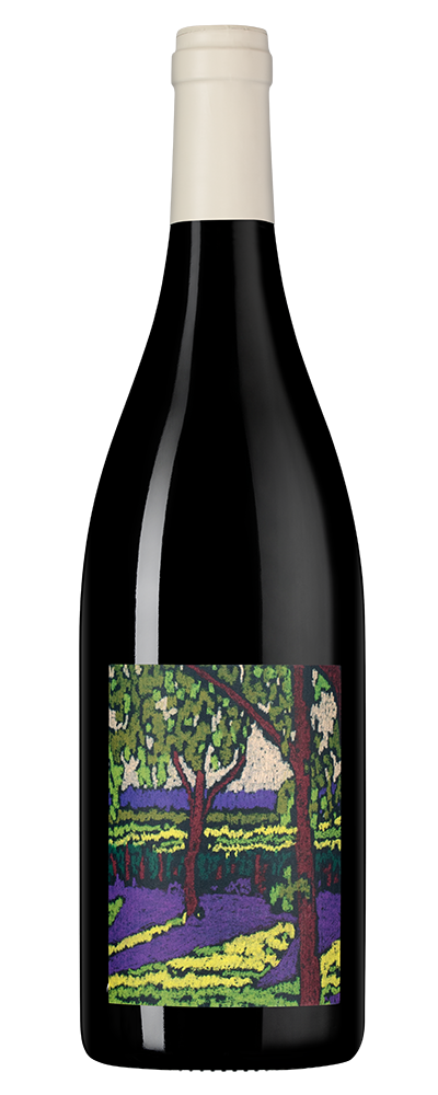 Вино Le Cabernet Franc, Catherine & Pierre Breton, 2021, (143394), Франция, Долина Луары, красное, сухое, 0.75 л, Ле Каберне Фран, цена 7290 рублей