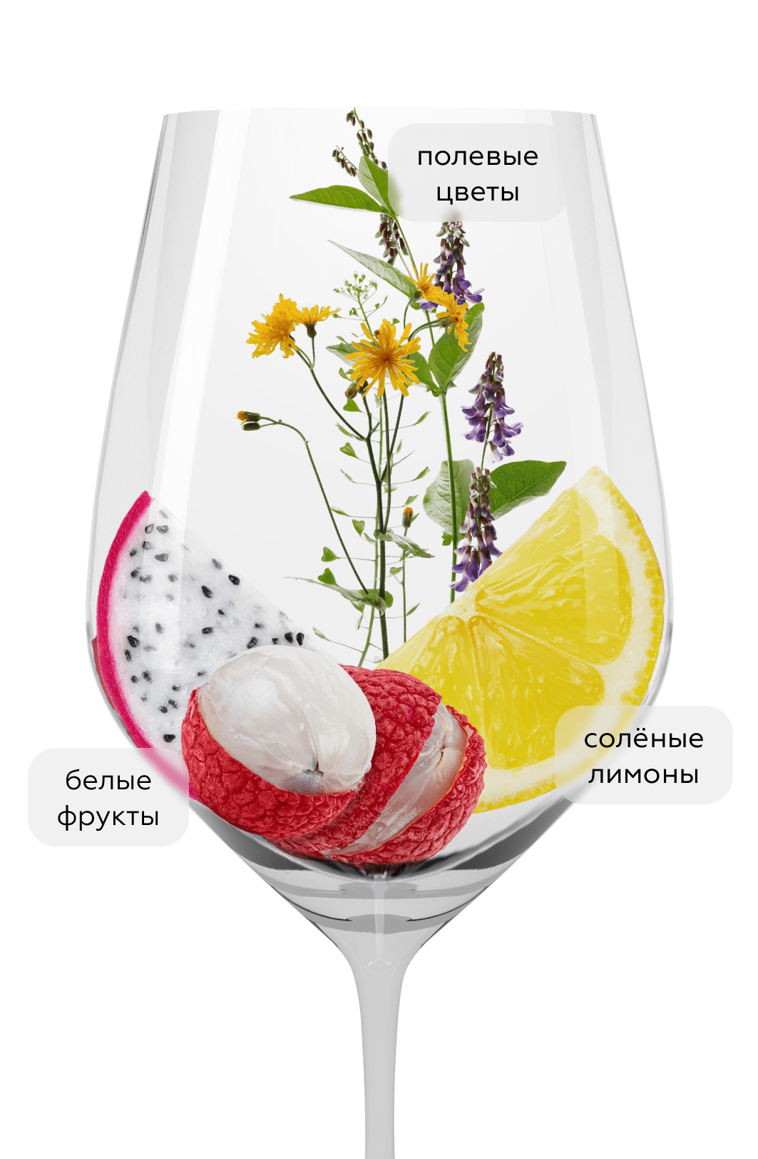 Вино Bourgogne Aligote, Domaine Geantet-Pansiot, 2022, (153167), Франция, Бургундия, белое, сухое, 0.75 л, Бургонь Алиготе, цена 6790 рублей