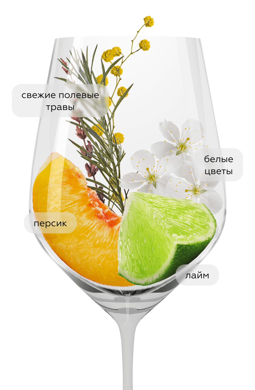 Вино Rheingau Riesling Trocken, Robert Weil, 2021, (139374), Германия, Рейнгау, белое, полусухое, 0.75 л, Рислинг Трокен, цена 6990 рублей