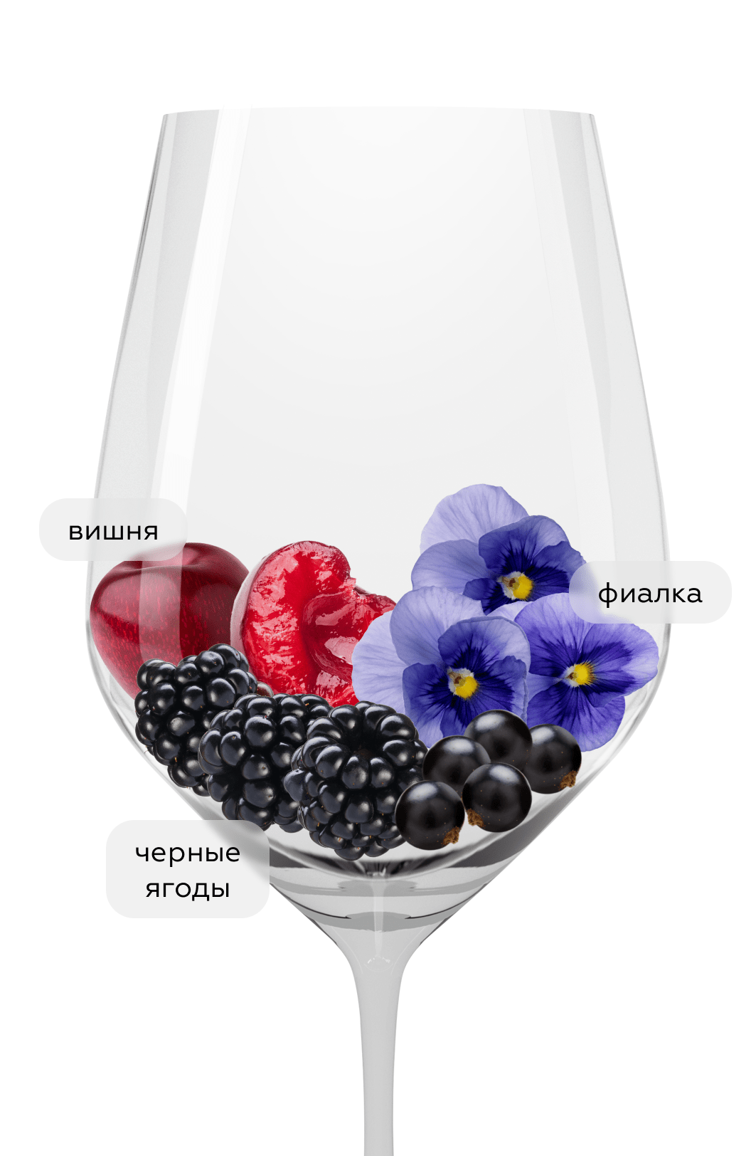 Вино Blaufrankisch Ried Hochberg, Hans Igler, 2020, (143873), Австрия, Бургенланд, красное, сухое, 0.75 л, Блауфренкиш Рид Хохберг, цена 5490 рублей