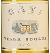 Вино к овощам Gavi Villa Scolca