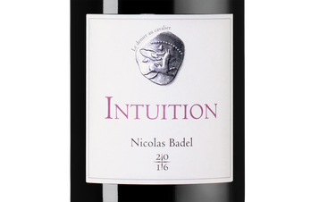 Вино Intuition, (134470), красное сухое, 2016 г., 0.75 л, Интуисьон цена 8790 рублей