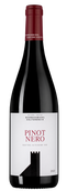 Pinot Nero (Blauburgunder)