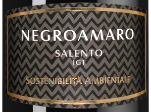 Вино Negroamaro Rosso Feudo Monaci, (118812), красное сухое, 2018 г., 0.75 л, Негроамаро Россо Феудо Моначи цена 1640 рублей