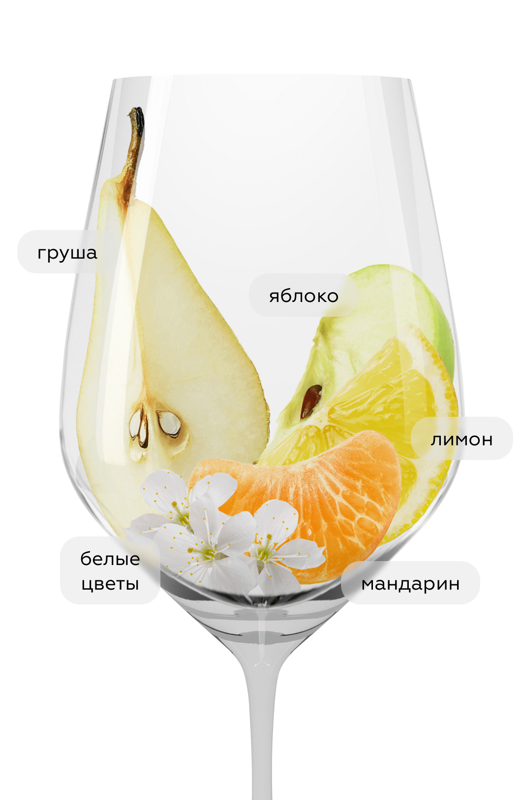 Вино Cape Original Moscato, Origin Wine Stellenbosch, 2023, (147508), Южная Африка, Вестерн Кейп, белое, сладкое, 0.75 л, Кейп Ориджинал Москато, цена 1340 рублей