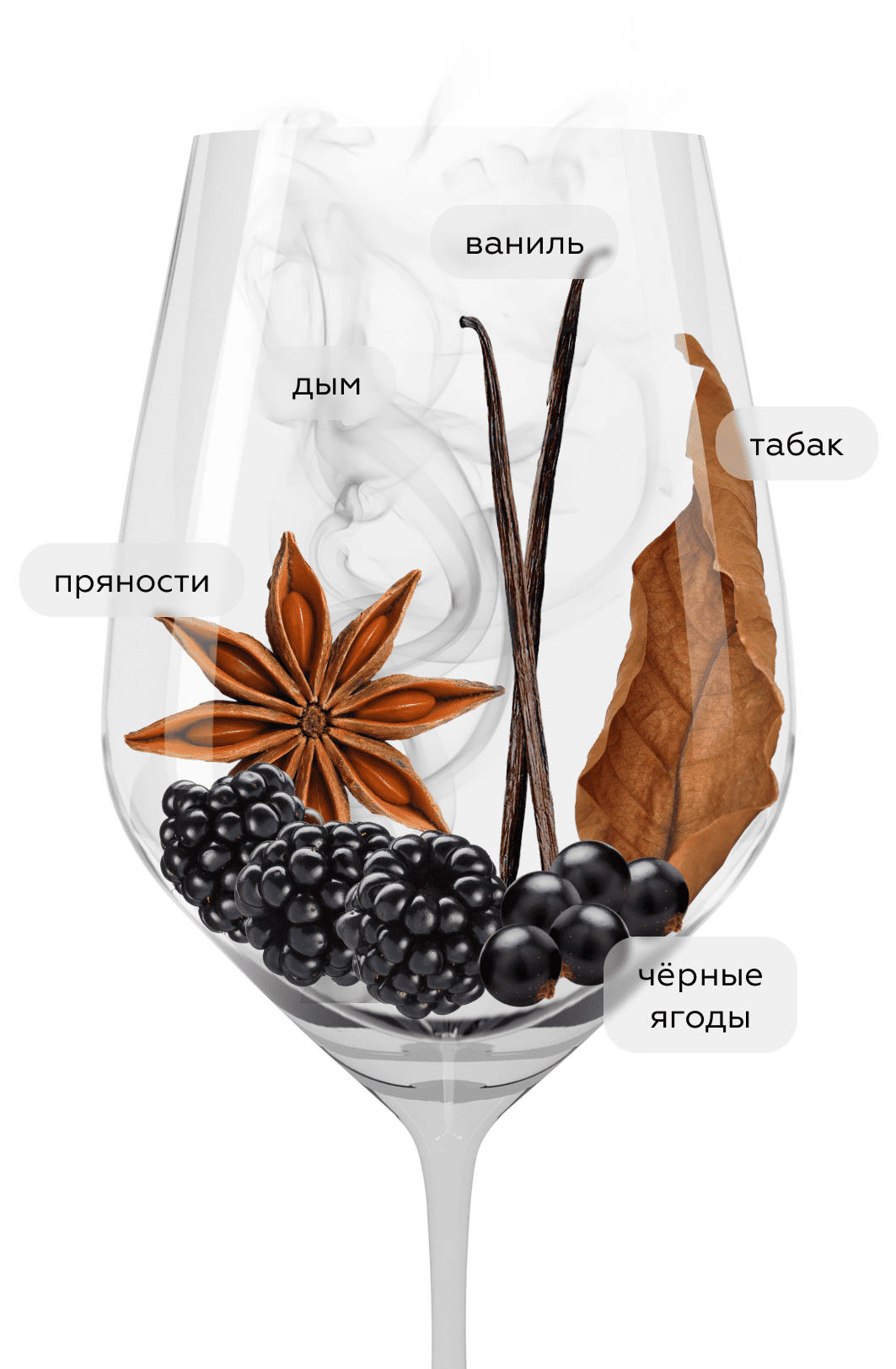 Вино Penfolds Bin 2 Shiraz Mataro, 2017, (116358), Австралия, Южная Австралия, красное, сухое, 0.75 л, Пенфолдс Бин 2 Шираз Матаро, цена 7990 рублей