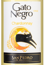 Вино Gato Negro Chardonnay, (132250), белое сухое, 2021 г., 0.75 л, Гато Негро Шардоне цена 990 рублей