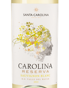 Белое вино из Аконкагуа Carolina Reserva Sauvignon Blanc