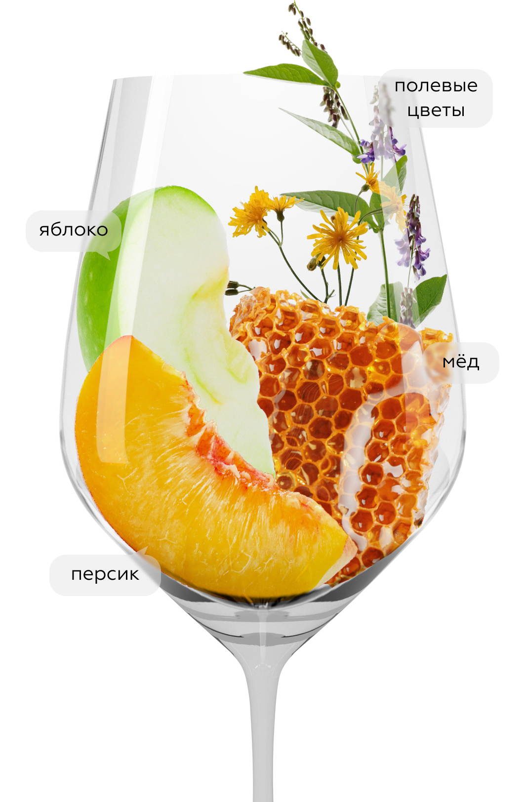 Вино Loco Cimbali Pinot Blanc, 2024, (159949), Россия, Крым, белое, сухое, 0.75 л, Локо Чимбали Пино Блан, цена 1568 рублей