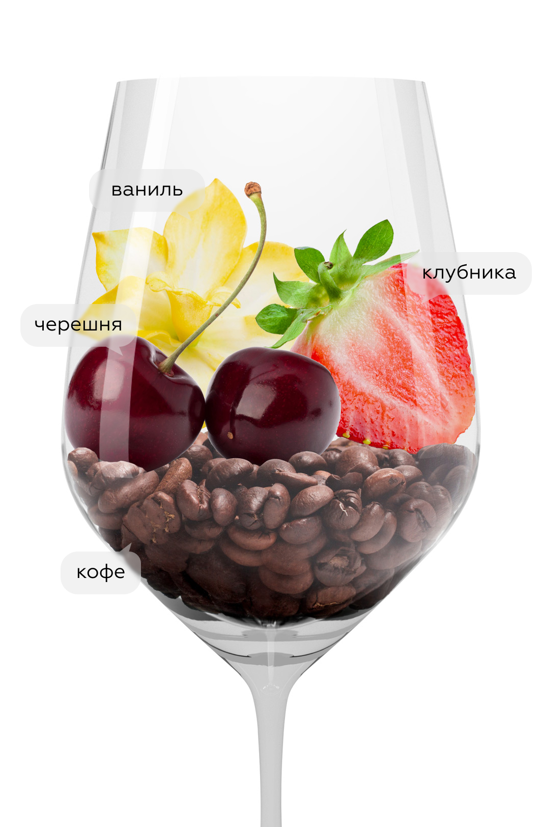 Вино Пино Нуар Красная Горка, Галицкий и Галицкий, 2023, (158783), Россия, Кубань, красное, сухое, 0.75 л, Пино Нуар Красная Горка, цена 4190 рублей