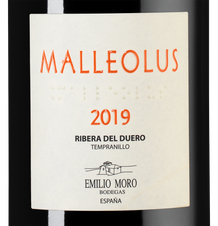 Вино Malleolus, (133547), красное сухое, 2019 г., 0.75 л, Мальеолус цена 9490 рублей