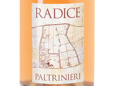 Шипучее вино Lambrusco di Sorbara Radice, Paltrinieri, 2022, (144672), Италия, Эмилия-Романья, красное, экстра брют, 0.75 л, Ламбруско ди Сорбара Радиче, цена 4990 рублей