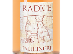Шипучее вино Lambrusco di Sorbara Radice, (144672), красное экстра брют, 2022 г., 0.75 л, Ламбруско ди Сорбара Радиче цена 3990 рублей