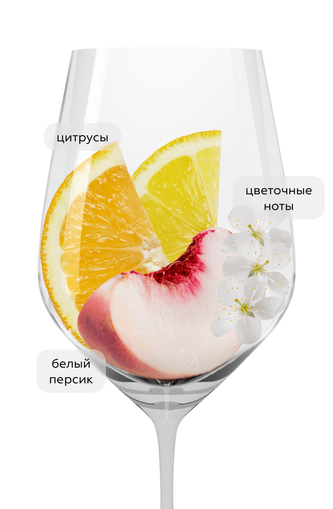 Вино Soave Classico, Domini Veneti, 2024, (153964), Италия, Венето, белое, полусухое, 0.75 л, Соаве Классико, цена 2990 рублей