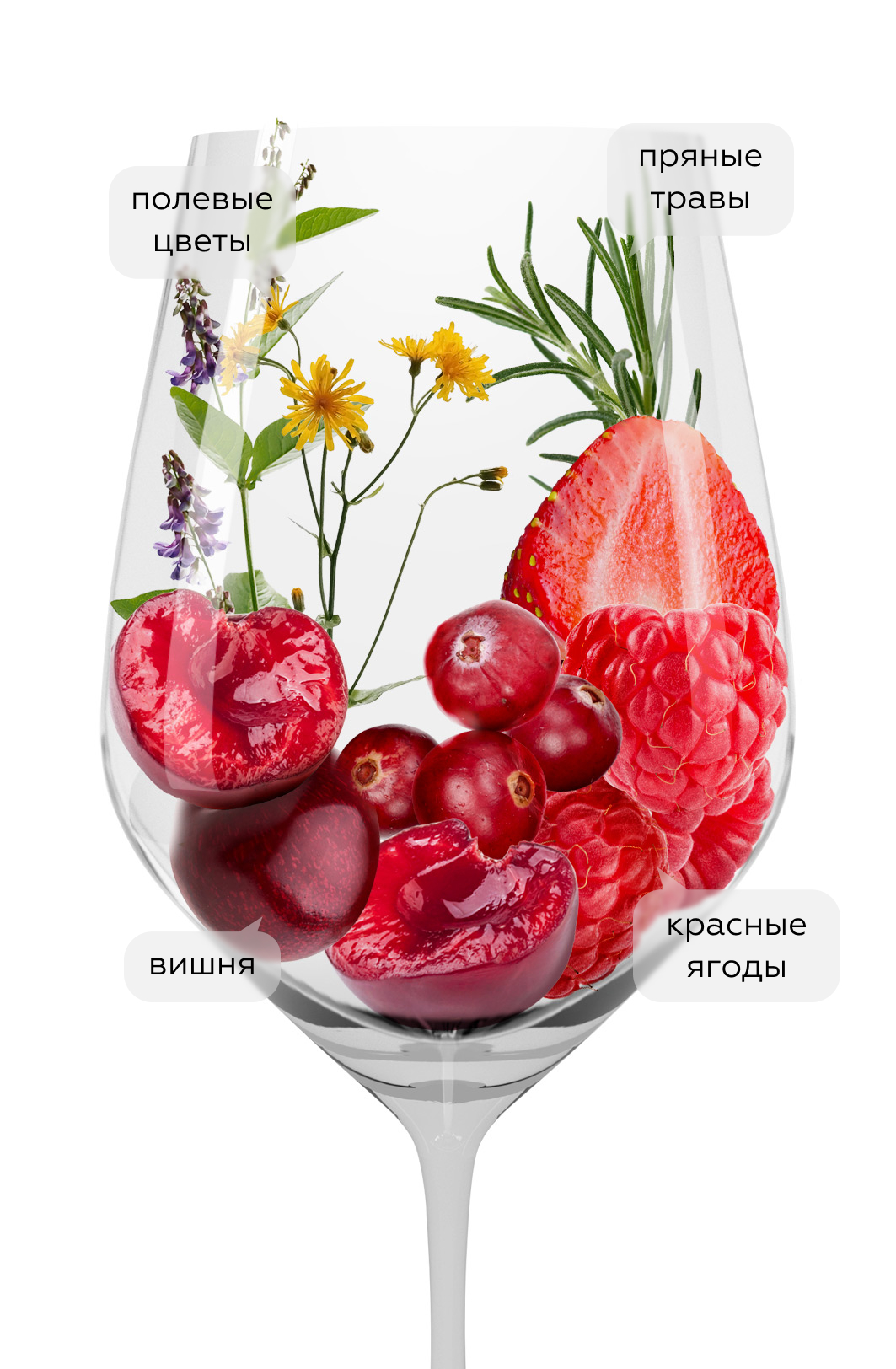 Вино Rosso di Montalcino, Le Potazzine, 2023, (153827), Италия, Тоскана, красное, сухое, 0.75 л, Россо ди Монтальчино, цена 13990 рублей