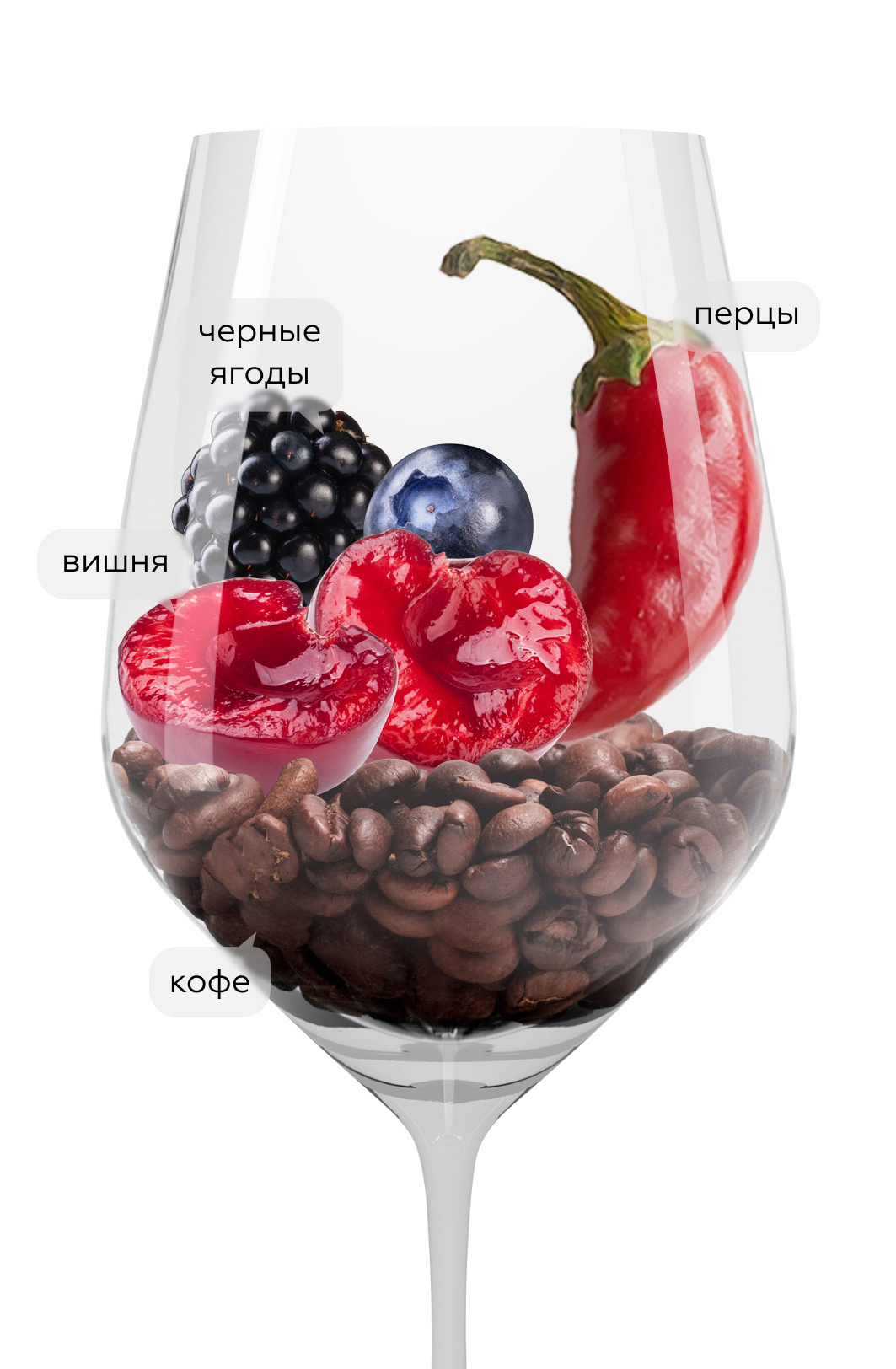 Вино Col di Sasso, Banfi, 2023, (153261), Италия, Тоскана, красное, полусухое, 0.75 л, Коль ди Сассо, цена 1868 рублей