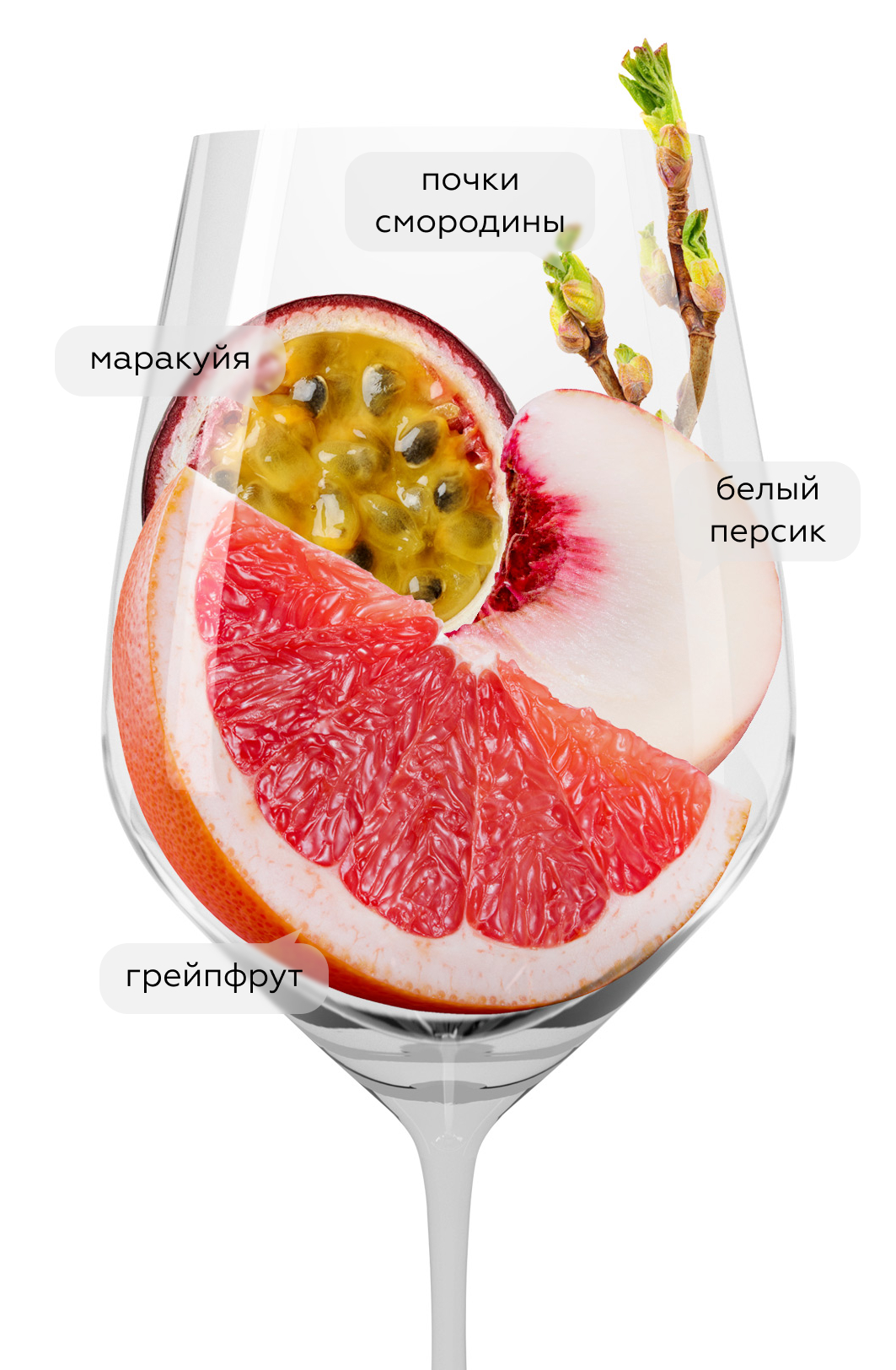 Вино Совиньон Блан, Сикоры, 2022, (145329), Россия, Кубань, белое, сухое, 0.75 л, Совиньон Блан, цена 2390 рублей