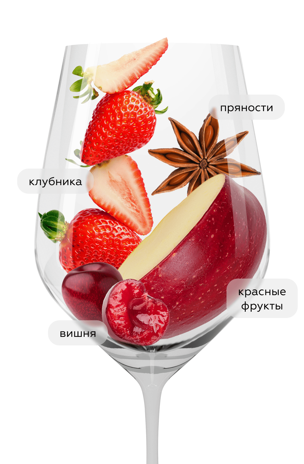 Вино Pinot Noir, Luigi Bosca, 2024, (155448), Аргентина, Мендоса, красное, сухое, 0.75 л, Пино Нуар, цена 2590 рублей