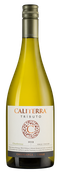 Чилийское белое вино Chardonnay Tributo