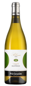 Итальянское белое вино Sauvignon Blanc 