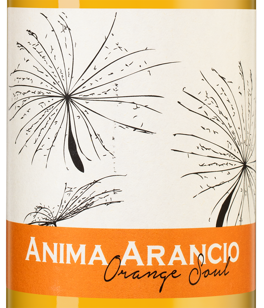 Вино Anima Arancio Orange Soul, Giacomo Fenocchio, (144409), Италия, Пьемонт, белое, сухое, 0.75 л, Анима Аранчо Орандж Соул, цена 11490 рублей