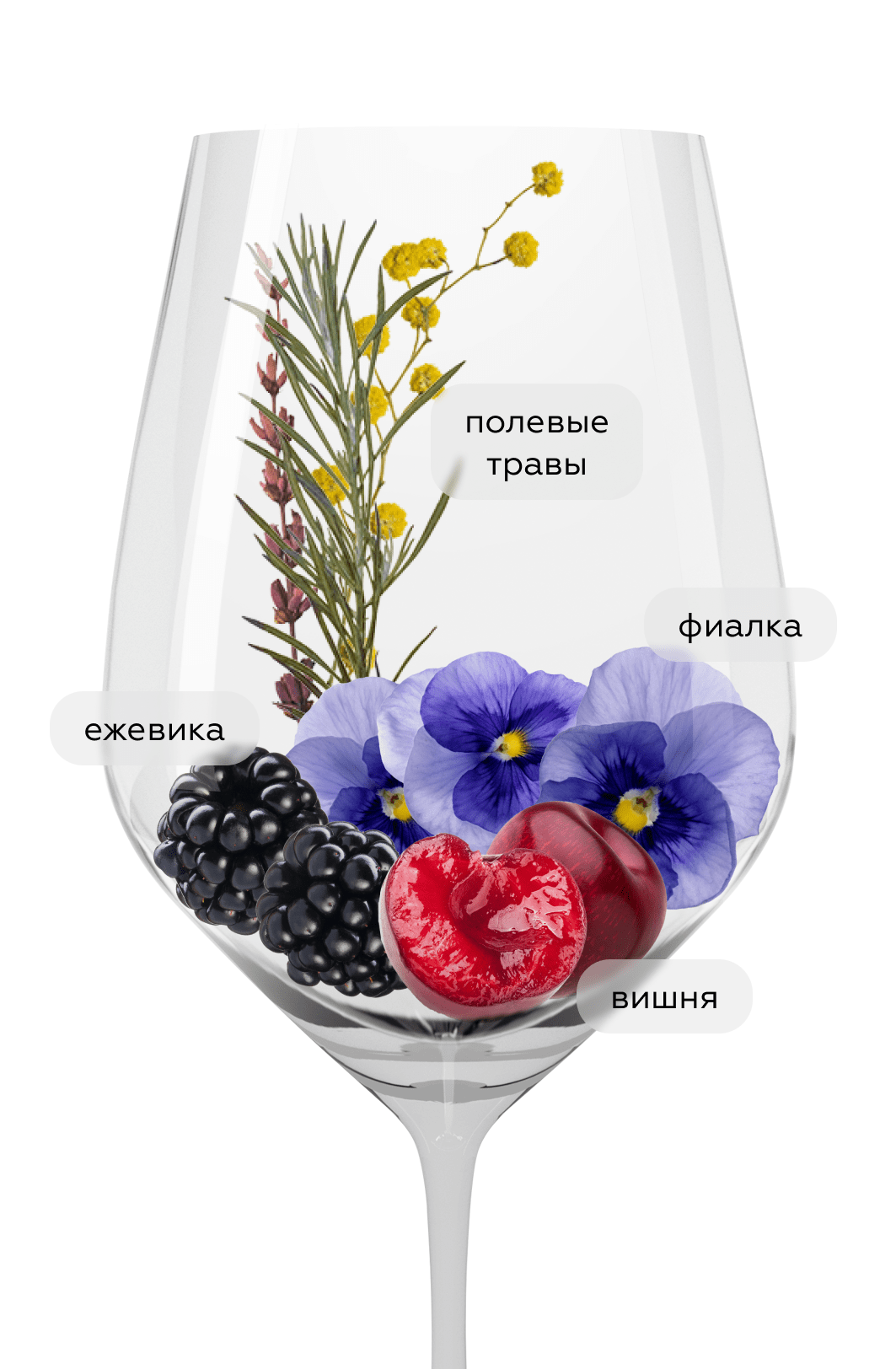 Вино Zweigelt-Merlot Klassik, Nastl, 2020, (135414), Австрия, Нижняя Австрия, красное, сухое, 0.75 л, Цвайгельт-Мерло Классик, цена 2990 рублей