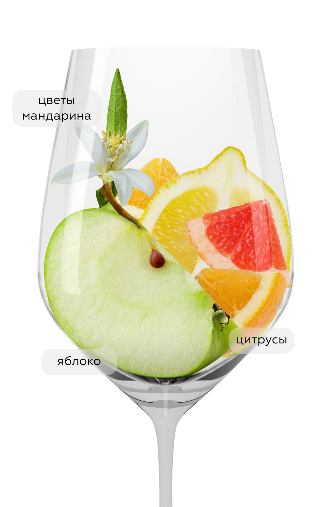 Вино Рислинг, Сикоры, 2023, (150817), Россия, Кубань, белое, сухое, 0.75 л, Рислинг, цена 2490 рублей