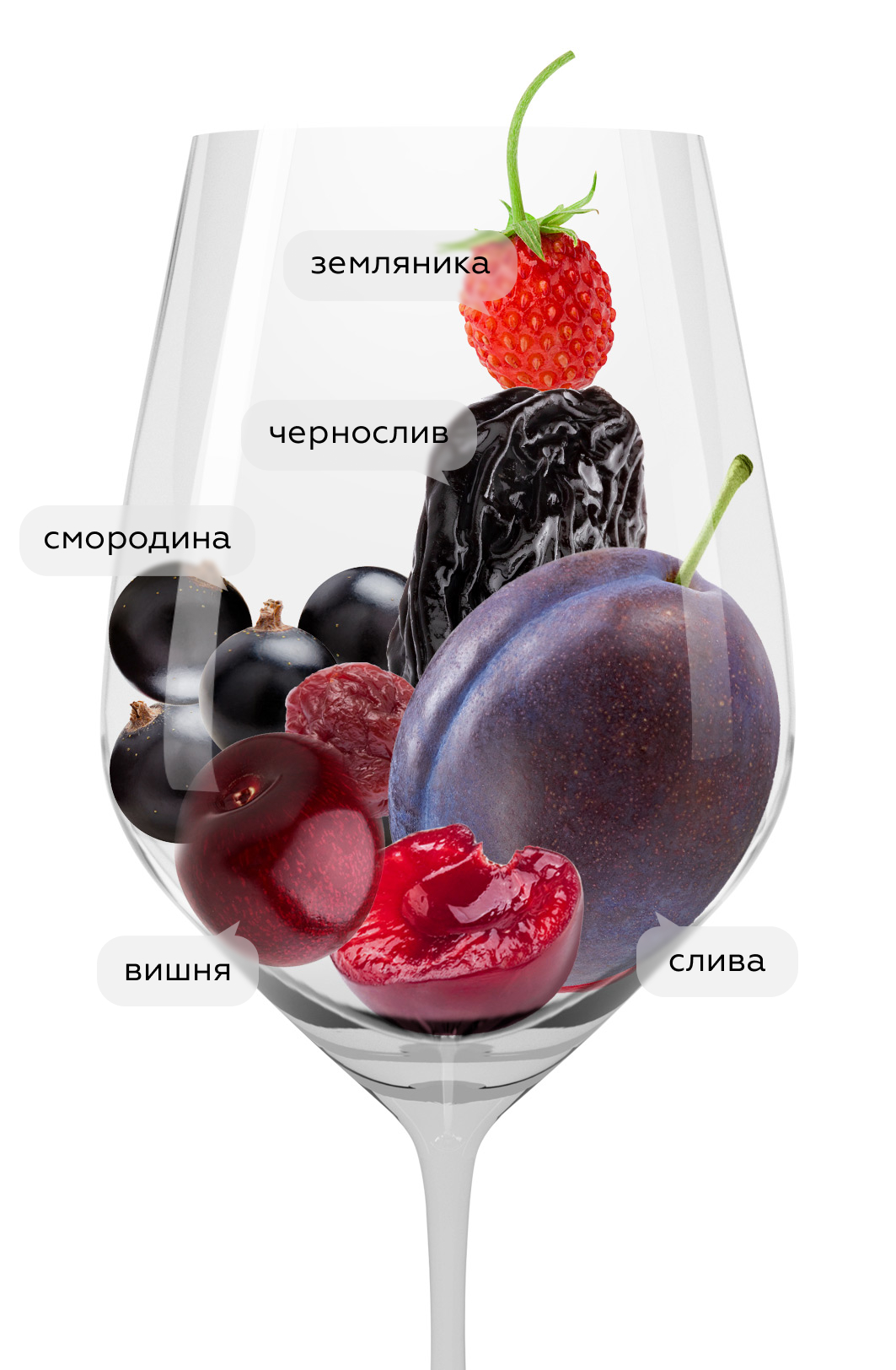 Вино Khvanchkara, Giuaani, 2022, (156366), Грузия, Рача Лечхуми, красное, полусладкое, 0.75 л, Хванчкара, цена 6490 рублей