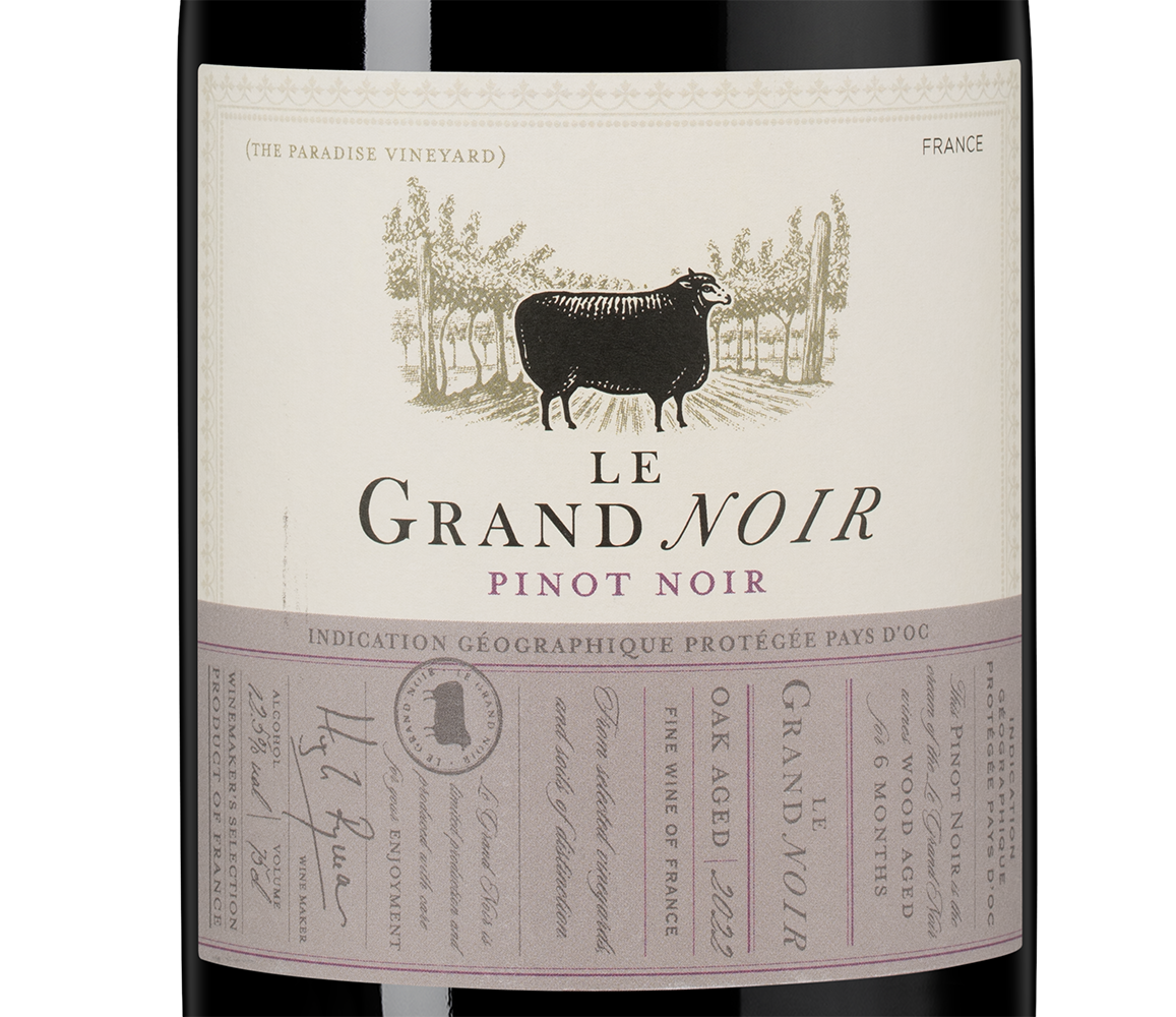 Вино Le Grand Noir Pinot Noir, 2022, (144248), Франция, Лангедок-Руссильон, красное, полусухое, 0.75 л, Ле Гран Нуар Пино Нуар, цена 1272 рублей