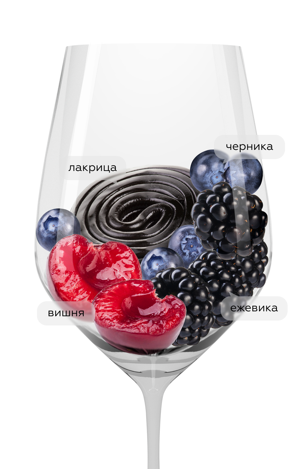 Вино Pinot Noir, Cantina Terlan, 2023, (147540), Италия, Трентино-Альто Адидже, красное, сухое, 0.75 л, Пино Нуар, цена 6990 рублей