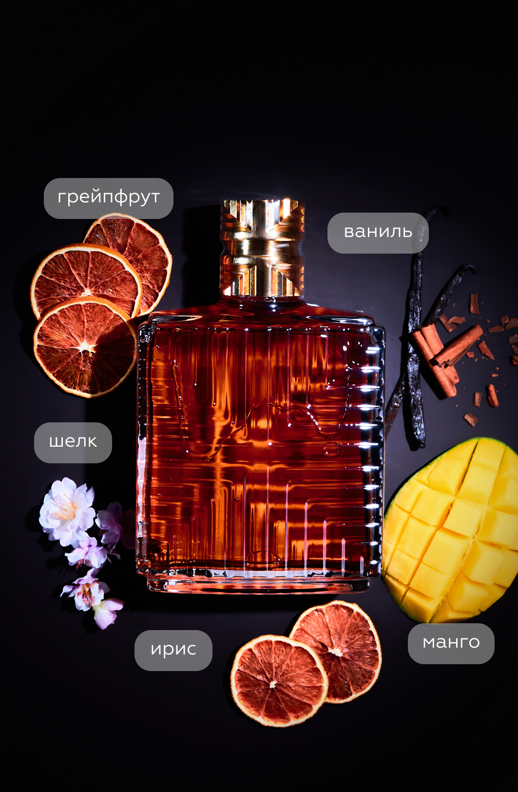 Коньяк Camus XO в подарочной упаковке, (156701), Франция, Коньяк, 0.7 л, Камю XO, цена 24990 рублей