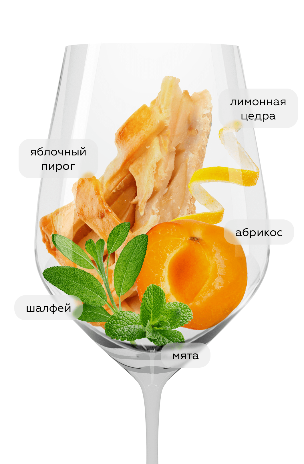 Вино Muskateller, Nastl, 2021, (137663), Австрия, Нижняя Австрия, белое, полусухое, 0.75 л, Мюскателлер, цена 3990 рублей