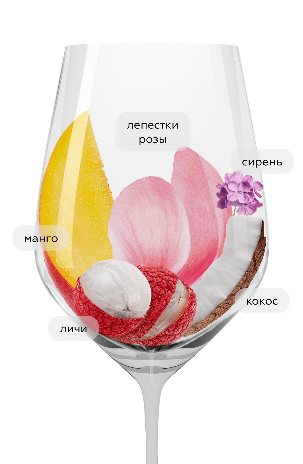 Вино Gewurztraminer Tradition, Cave de Turckheim, 2022, (148585), Франция, Эльзас, белое, полусухое, 0.75 л, Гевюрцтраминер Традисьон, цена 3490 рублей