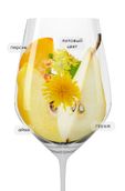 Loco Cimbali White