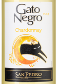 Вино Gato Negro Chardonnay