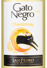 Вино Gato Negro Chardonnay, (145922), белое сухое, 2023, 0.75 л, Гато Негро Шардоне цена 990 рублей