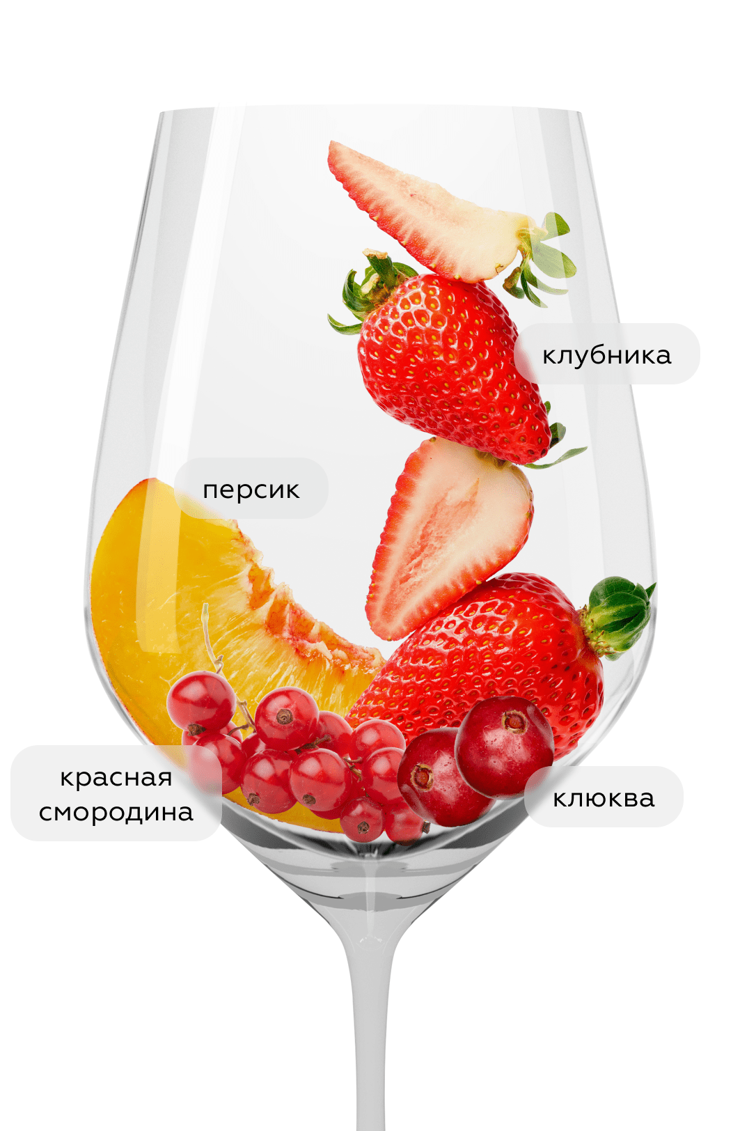 Вино Мальбек Розе, Лефкадия, 2023, (148945), Россия, Кубань, розовое, сухое, 0.75 л, Мальбек Розе, цена 1990 рублей