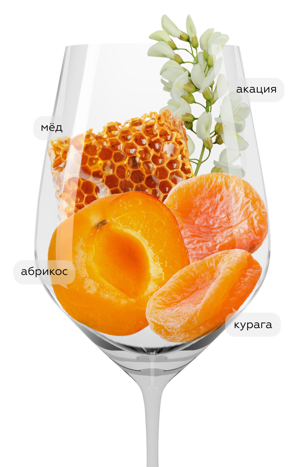 Вино Muscat Reserve, Trimbach, 2021, (140736), Франция, Эльзас, белое, сухое, 0.75 л, Мюска Резерв, цена 6990 рублей