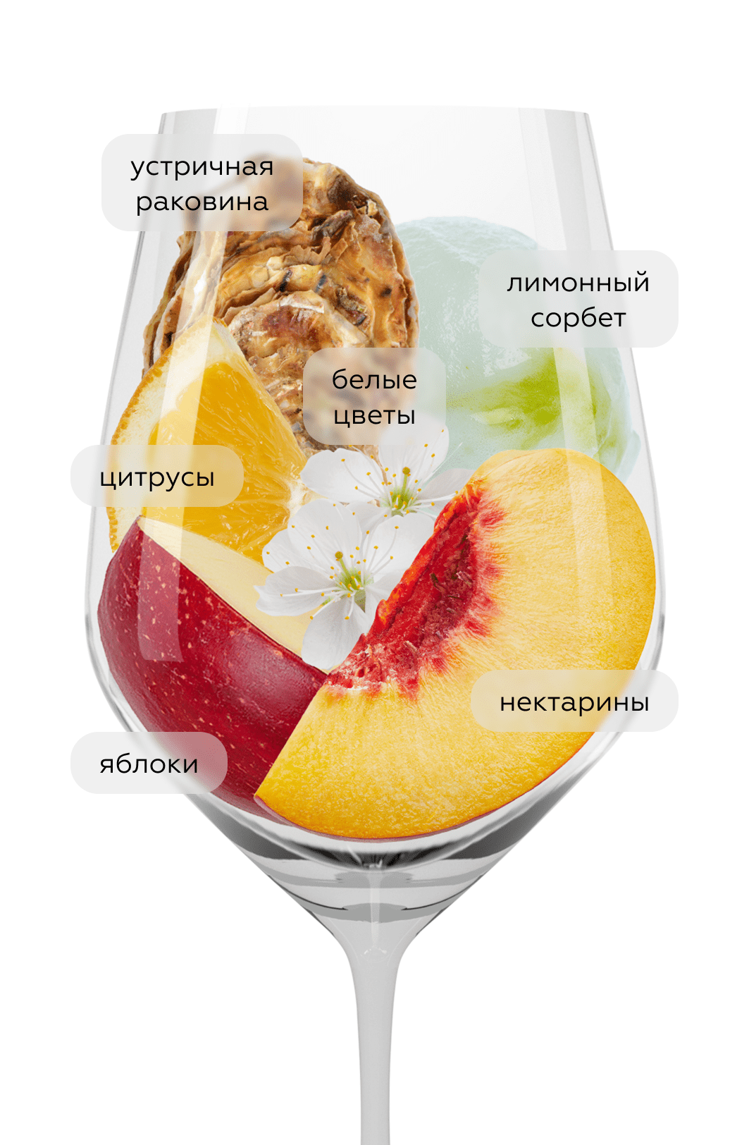 Вино Paddle Creek Riesling, Lake Road Group Limited, 2022, (145705), Новая Зеландия, Мальборо, белое, сухое, 0.75 л, Паддл Крик Рислинг, цена 2990 рублей