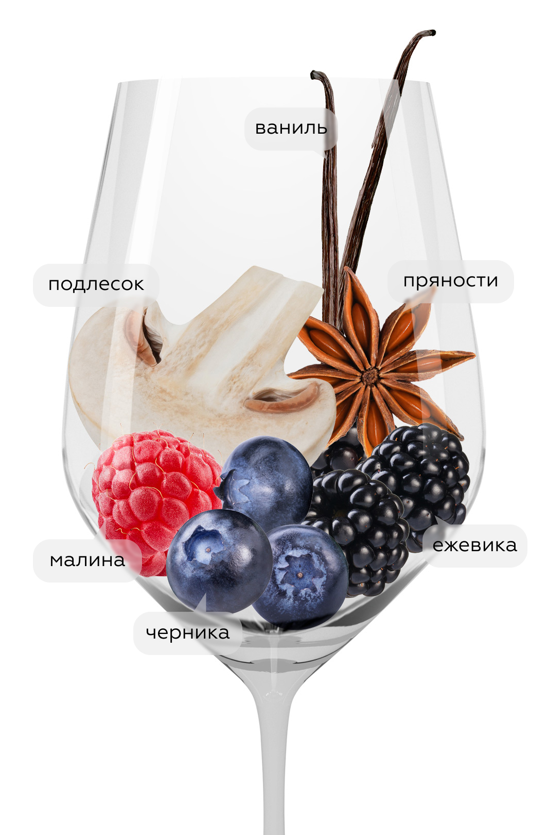 Вино Hacienda Lopez de Haro Tempranillo, 2023, (157591), Испания, Риоха, красное, сухое, 0.75 л, Риоха Темпранильо, цена 2240 рублей