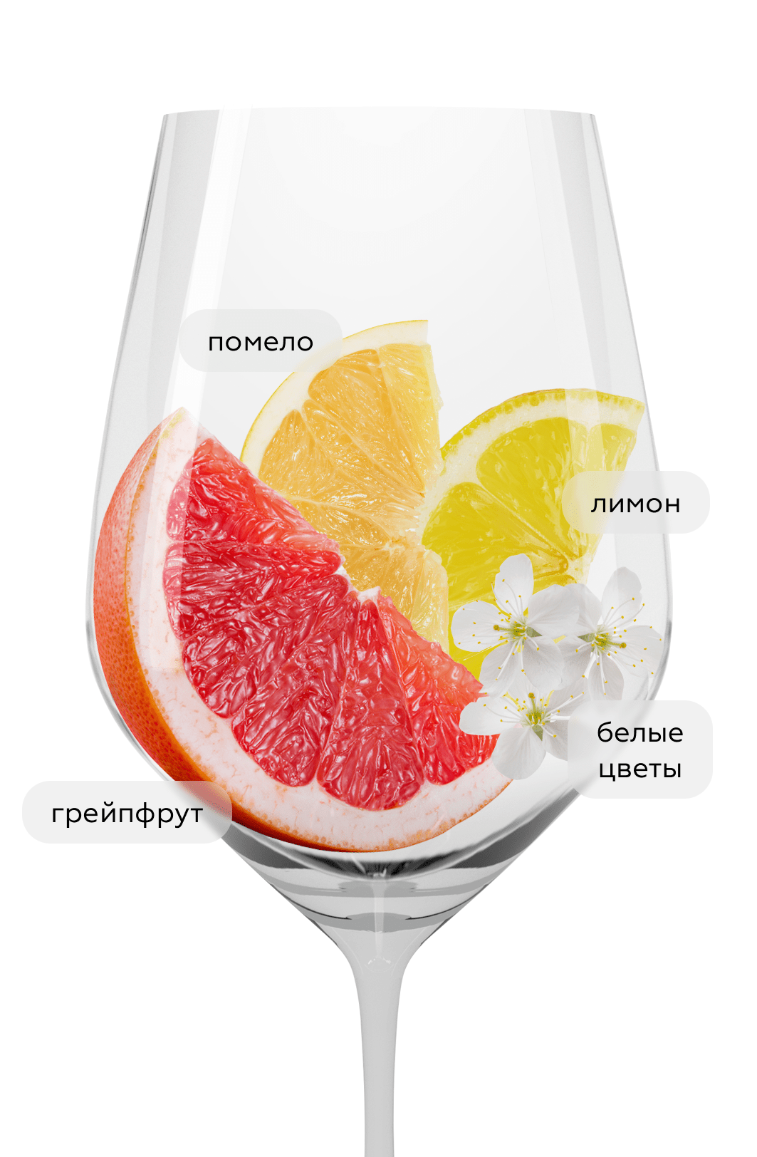 Вино Bourgogne Aligote, Jean-Marc Brocard (Domaine Sainte-Claire), 2022, (154646), Франция, Бургундия, белое, сухое, 0.75 л, Бургонь Алиготе, цена 2993 рублей