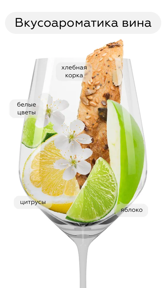 Игристое вино Cava Sumarroca Brut Reserva, Bodegues Sumarroca, 2021, (144400), Испания, Каталония, белое, экстра брют, 0.75 л, Кава Сумаррока Брют Ресерва, цена 3490 рублей